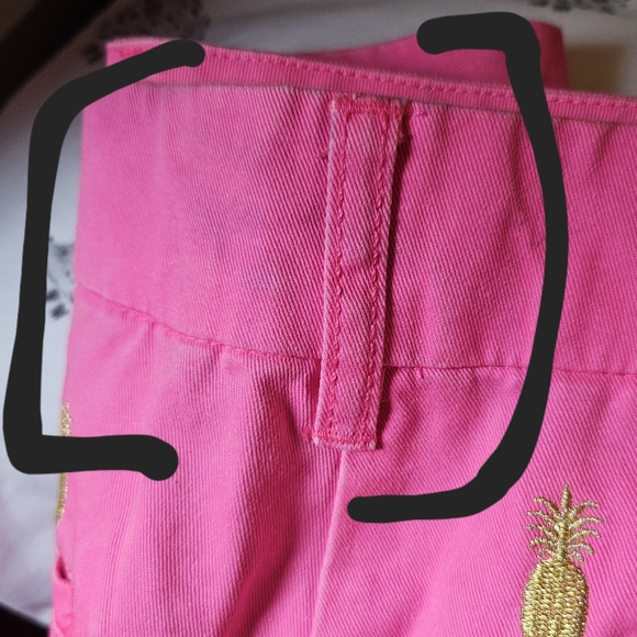 Macbeth Collection Pink Shorts w/ Pineapples - Large - Picture 9 of 11